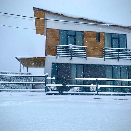 Cottage Marta Sadgeri Borjomi Dış mekan fotoğraf